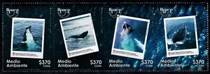 Chile 2024 America UPAEP Whales at Sea Park Francisco Coloane - Picture 1 of 1