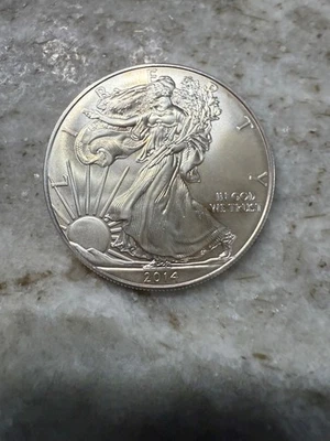 2014 American Silver Eagle EUA Mint Walking Liberty Coin 1oz .999 fino - Imagem 1 de 2