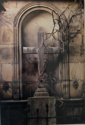 Impresión fotográfica de bellas artes a bordo por la fotógrafa Irene Lingenfelter Foto 1 de 4