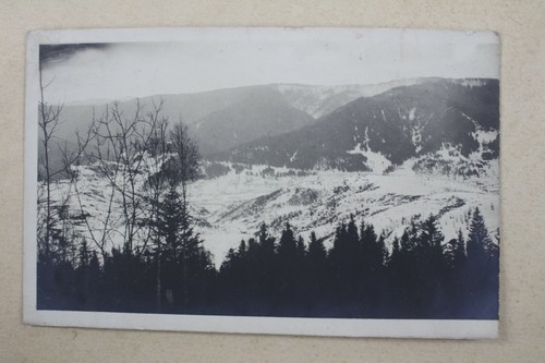 Bild 1 von 2