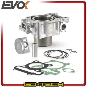 KIT GRUPPO TERMICO CILINDRO PISTONE GUARNIZIONI EVOK HONDA SH 300 i NSS FORZA - Foto 1 di 3