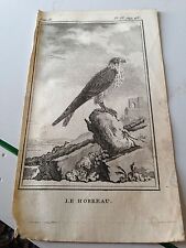 le hobreau   (falcon ) steel engraving 1760