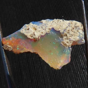 7.40 CT Natural Ethiopian Opal Rough Crystal Healing Opal 15x24x7 mm WR14 - Picture 1 of 7