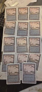 MTG Revised Italian ITA FWB Foreign White Border Basic Land Swamp 1 High Branch - Bild 1 von 1