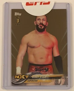 BOBBY FISH, WWE, 2017 TOPPS CARD IN EXCELLENT CONDITION, UNCIRCULATED ! ROOKIE ! - Picture 1 of 1