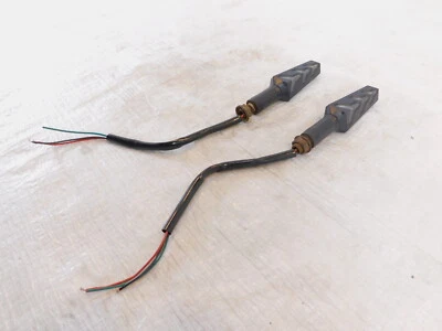 Par de luces indicadoras traseras derecha/izquierda Kawasaki ZR-750 ZR-7S 2000 00 Foto 1 de 4