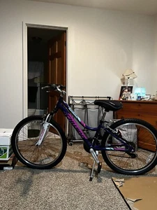 Schwinn Girls' Ranger 24" Mountain Bike - Picture 1 of 4