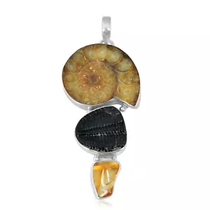 Sterling Silver Ammonite, Amber and Trilobite Jewelry Pendant - Picture 1 of 6