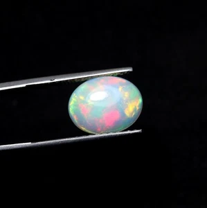 2,8 ct 13,7 x 10,7 mm echter AAA rot grün gelb Feuer äthiopischer Opal oval Cabochon - Bild 1 von 8