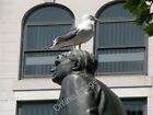 Photo 6x4 No respecter of persons Cardiff/Caerdydd A seagull rests on th c2009