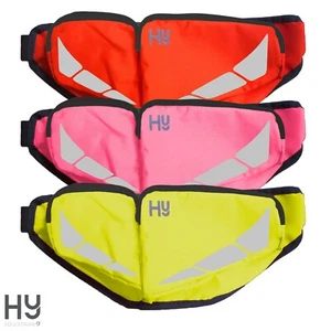 HyVIZ Reflektor Bum Bag - Hi Viz - Reflektierend - Be Safe Be Seen - 3 Farben - Bild 1 von 4