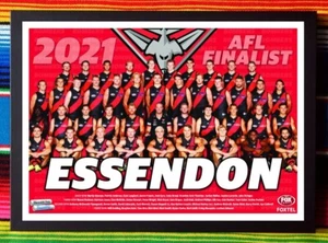 Framed 2021 ESSENDON BOMBERS AFL Finalist Poster - 45cm x 32cm x 3cm - Bild 1 von 3