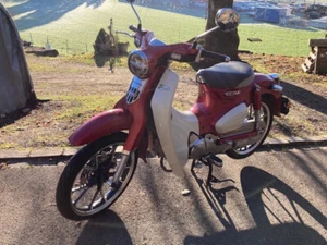 Honda 125 Super Cub - Bild 1 von 7