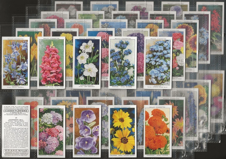 WILLS-FULL SET- GARDEN FLOWERS 1939 (SUDELL 50 CARDS) EXCELLENT - Image 1 of 1