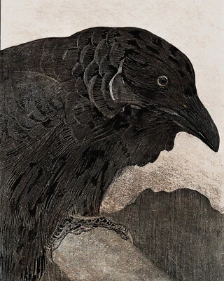 Dibujo de cuervo Theo Van Hoytema reproducción impresión giclee en papel de arte fino Foto 1 de 3