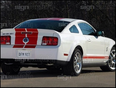 Kit de rayas de carreras de 8" con balancín para Ford Mustang GT SVT Saleen 2005-2009 Foto 1 de 2