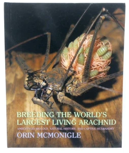 Breeding the World's Largest Living Arachnid : Amblypygid Biology, Natural H... - Picture 1 of 5