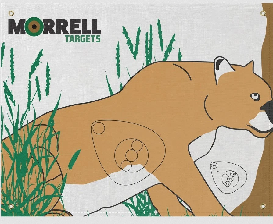 Morrell Polypropylene Archery Target Face, Mountain Lion 28x42 Field Point Only - Image 1 of 1