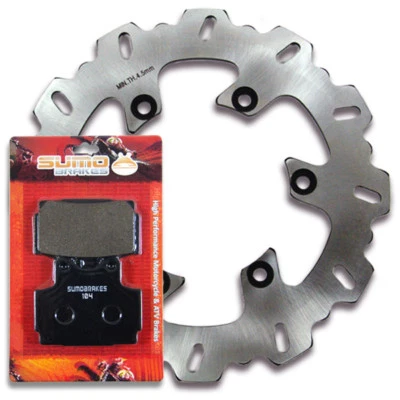 Rotor de freno trasero Yamaha + pastillas SRX600 [1985-1990] XJ600 S/N desvío [1992-2003] Foto 1 de 4