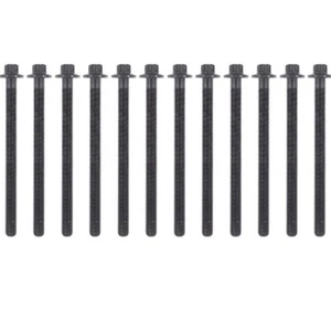 12Pcs Engine Cylinder Head Bolt for Encore Cruze Sonic Trax Volt ES72474 HBK343 - Foto 1 di 5