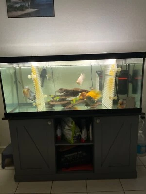 Tanque de acuario Aqueon estándar de vidrio de 20 galones de largo, borde negro Foto 1 de 4