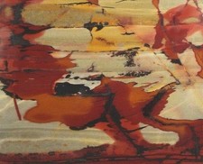 Indian Paint Stone Slab Death Valley Ca Aaa Grade 3.5" X 2.6" X 1/4" 95 Grams