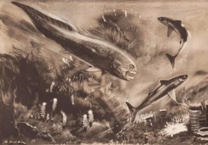 Prehistoric Shark and Fish: DINICHTHYS & CLADOSELACHE by Z. Burian 1963 9x13" - Picture 1 of 4