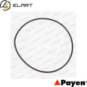 GASKET WATER PUMP KA845 FOR FIAT 183A1/188A6.000 1.7L 182A5.000/A3.000 1.4L 4cyl - Picture 1 of 8
