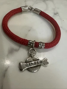 Vintage Cat/ Dog Collar Silver plate Ginger Name Tag - Picture 1 of 9