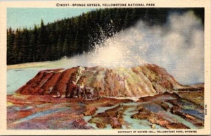 Sponge Geyser Yellowstone Park Wyoming Haynes Postcard No 196 - 100 series UNP - Picture 1 of 2