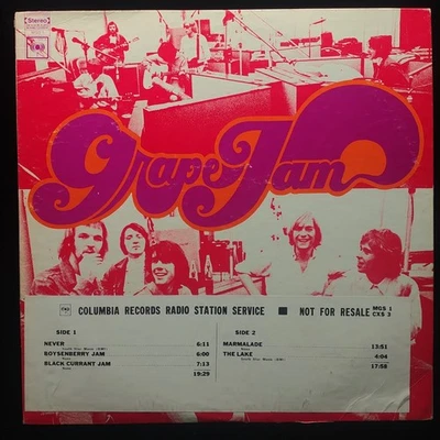 Moby Grape - Grape Jam 1968 Promo Stereo Vinyl Record LP - Image 1 of 4