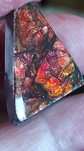 Ammolite Ammonite Coated Stone 24.5x20.5x5mm #17906 - Picture 1 of 4