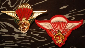 Old Laos Army Airborne Jumpmaster Parachutist Military Jump wings Badge B&T 503 - Picture 1 of 7