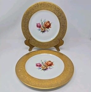 Two Royal Bavarian Hutschenreuther Selb 10 1/4” Dinner Plates Floral Centers - Picture 1 of 11