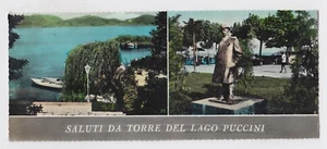TO LU 11 Saluti da Torre del Lago Puccini 8,5X21 viaggiata 1959  - Picture 1 of 1