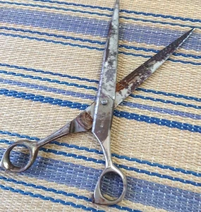 Japanese Vintage Tenyo Hair Cutting Barber Scissors 7.9in by Sadaharu Ebi W/Rust - Picture 1 of 9
