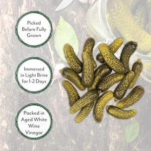 Pickles 1 Gallon Roland Foods Premium Quality Small Cornichons - Picture 1 of 6