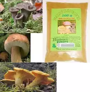 Pilze STEINPILZE Waldpilze 3Sorten Pilzpulver Würzpulver 100g Pilz 1A Geschmack! - Bild 1 von 1