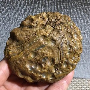 Bellissimo! Pietra cristallo agata occhio GoBi naturale esemplare guarigione 254g - Foto 1 di 13
