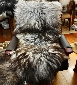 Stunning Shades of Grey - A Naturally Curly A Gorgeous Icelandic Sheepskin Rug - Picture 1 of 9