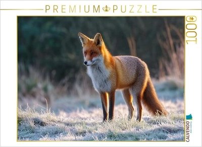 CALVENDO Puzzle Rotfuchs im Morgenlicht auf frostiger Wiese Tierpuzzle mit Fuchs