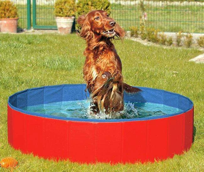 Karlie DOGGY POOL der Swimmingpool für Hunde - Rot-Blau - 120 cm - Bild 1 von 1