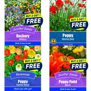 Flower Seeds Plants Borders Petunia,Alyssum,Lupin etc | Over 60 varieties - Picture 1 of 101