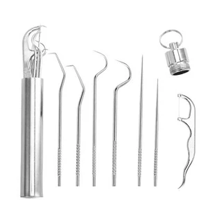 Toothpicks Pocket Set 7PCS/Set Dental Pick Portable Stainless Steel Tooth Care - Picture 1 of 8