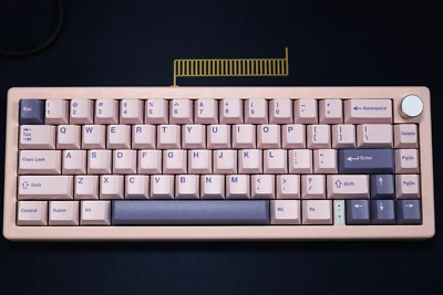 Thocky/Poppy Pink Custom GMK67 Keyboard | KTT Kang Linear | NK Blossom Keycaps - Image 1 of 4