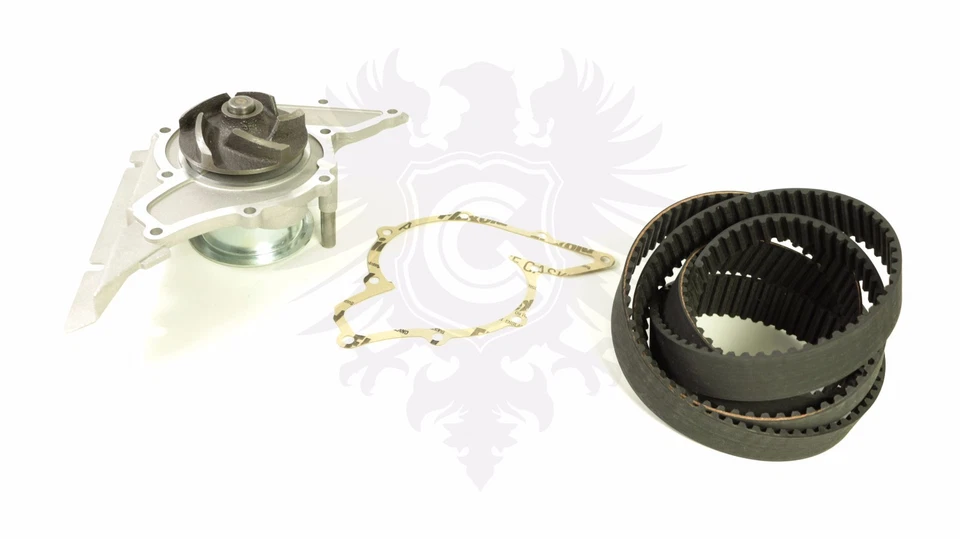 Kit de correa de distribución y bomba de agua OEM AUDI A6 A8 RS6 VW Phaeton 4,2 L V8 '00-06 Foto 1 de 1