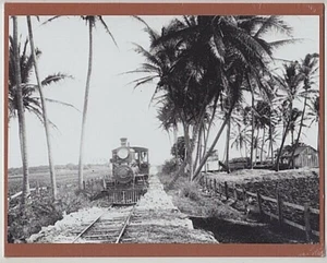 MOANALUA LOCOMOTIVE 1900? OAHU SILVER HALIDE PHOTOGRAPH ON 8 X 10" MAT BOARD - Picture 1 of 1