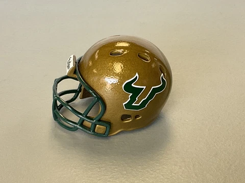 SOUTH FLORIDA BULLS CUSTOM POCKET PRO HELMET THROWBACK NCAA *C18 Cover