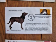 Bright Eyes Dog Chesapeake Bay Retriever 1998 Bgc Cachet Fdc