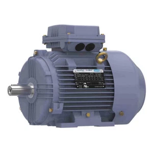 MARATHON MOTORS TCA2P22AE211GAA009 GP Motor,3 HP,1,770 RPM,230/460V AC,100L 55AY - Picture 1 of 2